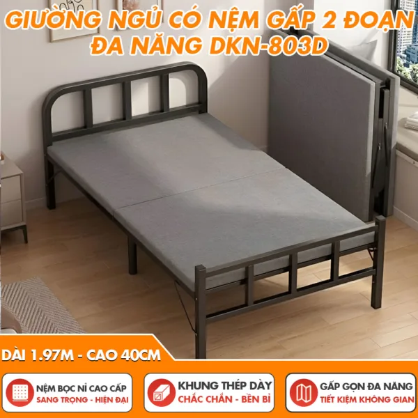 [GỌN NHẸ - GIÁ RẺ ] Giường Ngủ Có Nệm DAKITA DKN-803D Rộng 80cm