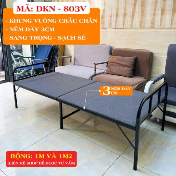 [Chân Đen Vuông-Nệm Dày 3cm] Giường Ngủ Có Nệm Gấp Gọn DAKITA DKN - 803V