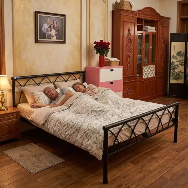Giường Sắt Kiểu Cách Điệu DAKITA Trang Bị Cho Phòng Trọ Gồm Màu Đen Và Trắng