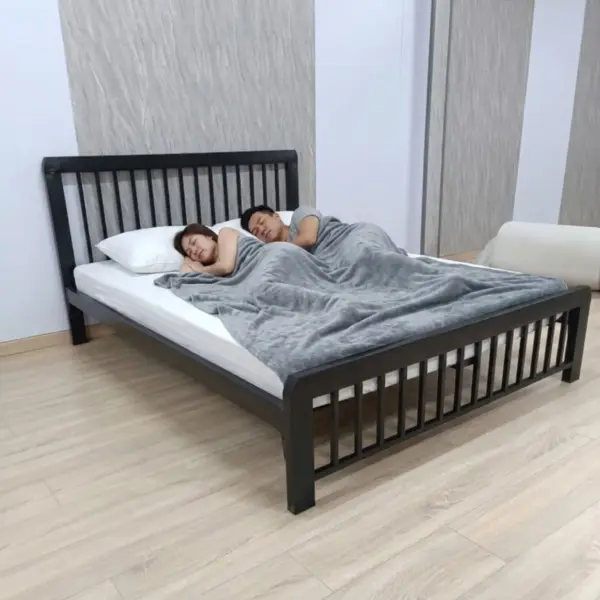 Giường Sắt Hộp Kiểu Đơn Đen Phù Hợp Với Chung Cư Khách Sạn