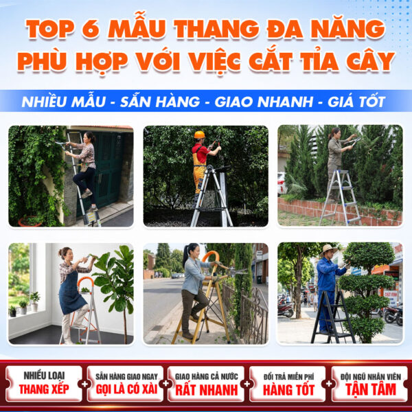 Top 6 Mẫu Thang Thích Hợp Cho Việc Chăm Sóc Và Cắt Tỉa Cây Cảnh
